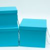 Set of 3 Tiffany Blue Square Flower Boxes