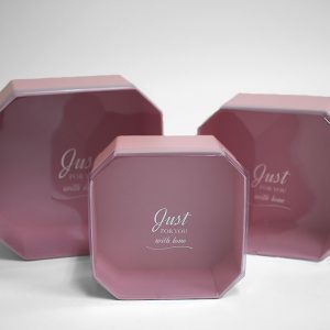 W5324 Pink Set of 3 Hexagon Square Flower Boxes With Window