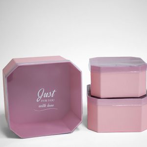 W5324 Pink Set of 3 Hexagon Square Flower Boxes With Window