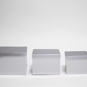 W6855 Silver Striped Flower Boxes Set of 3