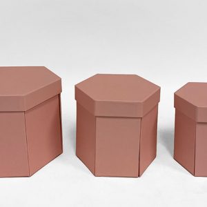 W7436 Pink Hexagon Surprise Box  Set of 3